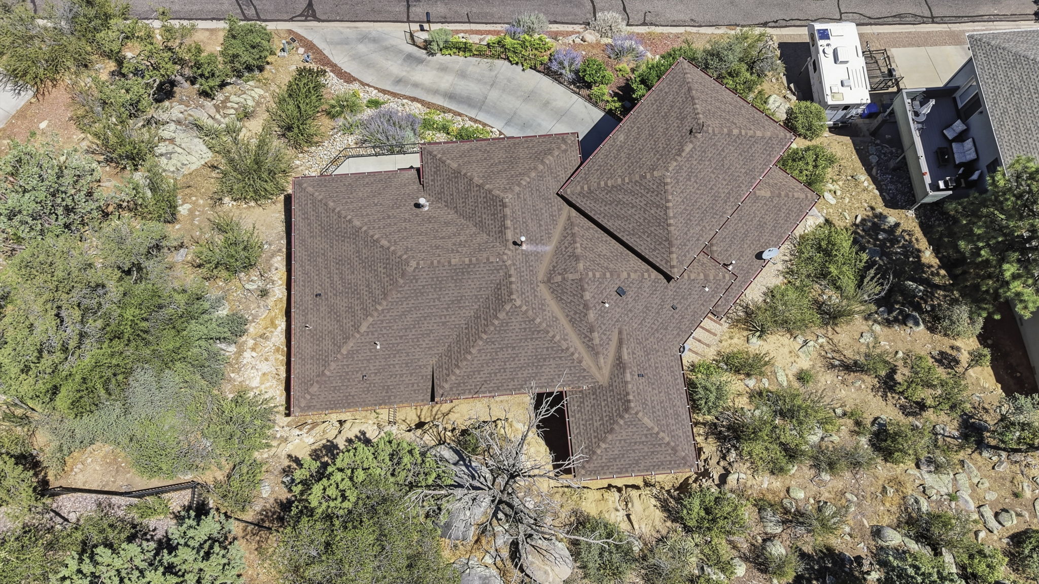 Birds Eye