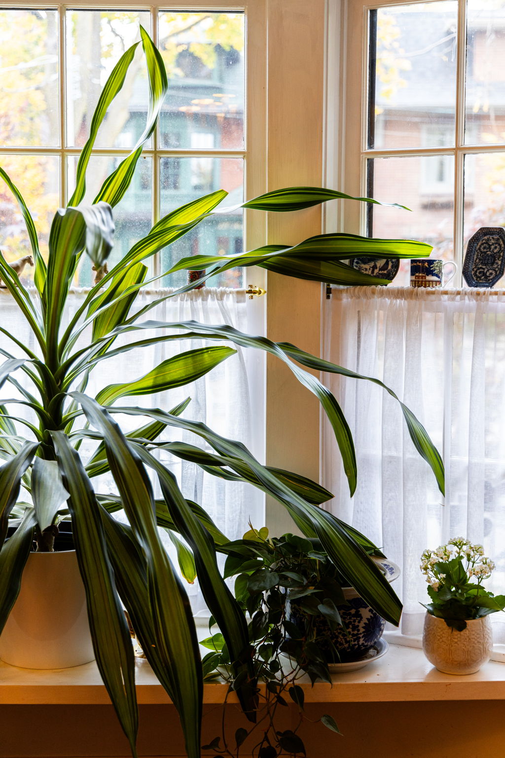 Toronto property showcase — delivered property photograph 26