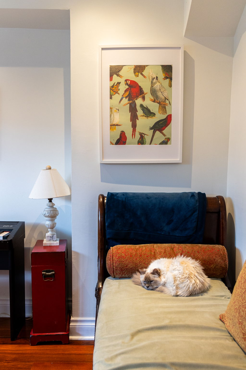 Toronto property showcase — delivered property photograph 45