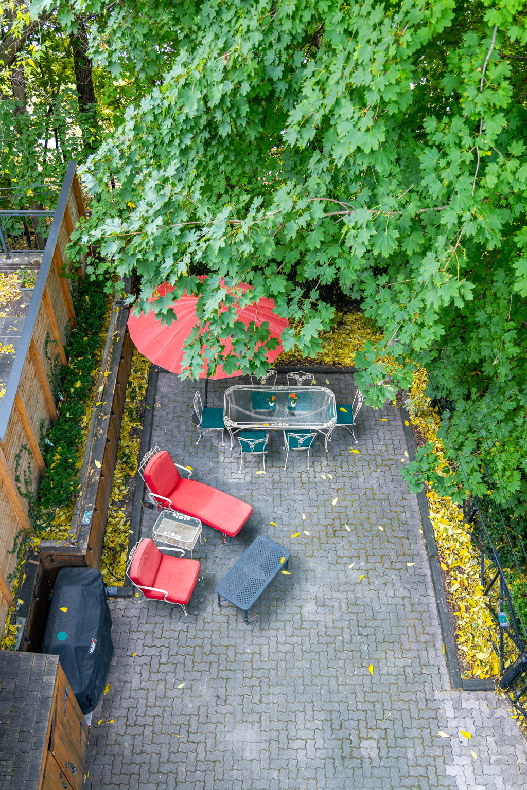 Toronto property showcase — delivered property photograph 46