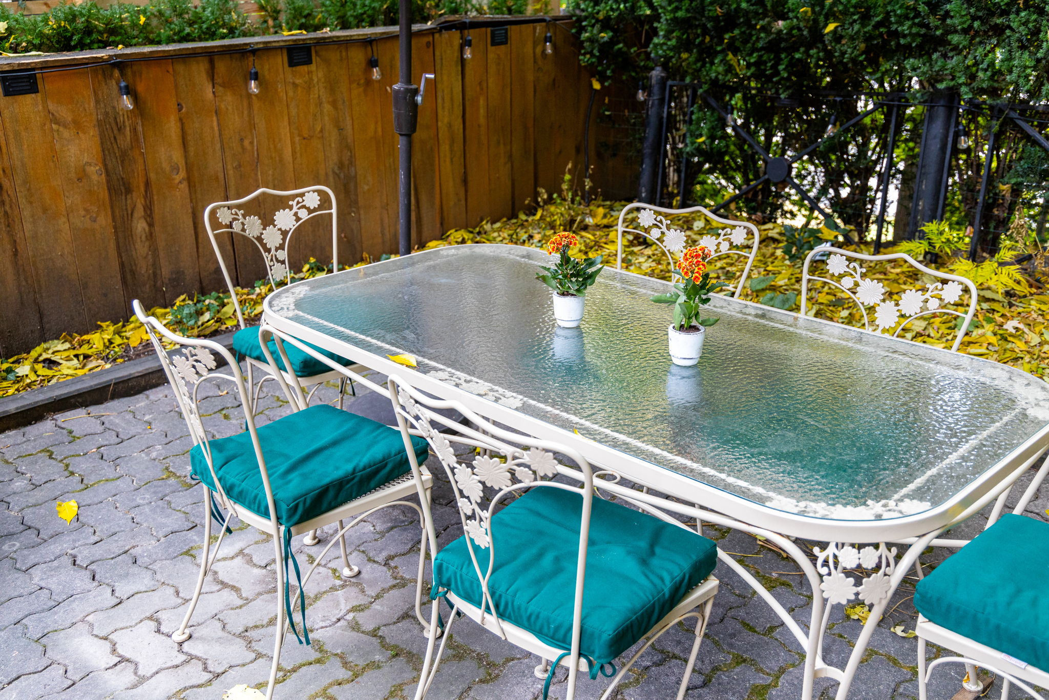 Toronto property showcase — delivered property photograph 52