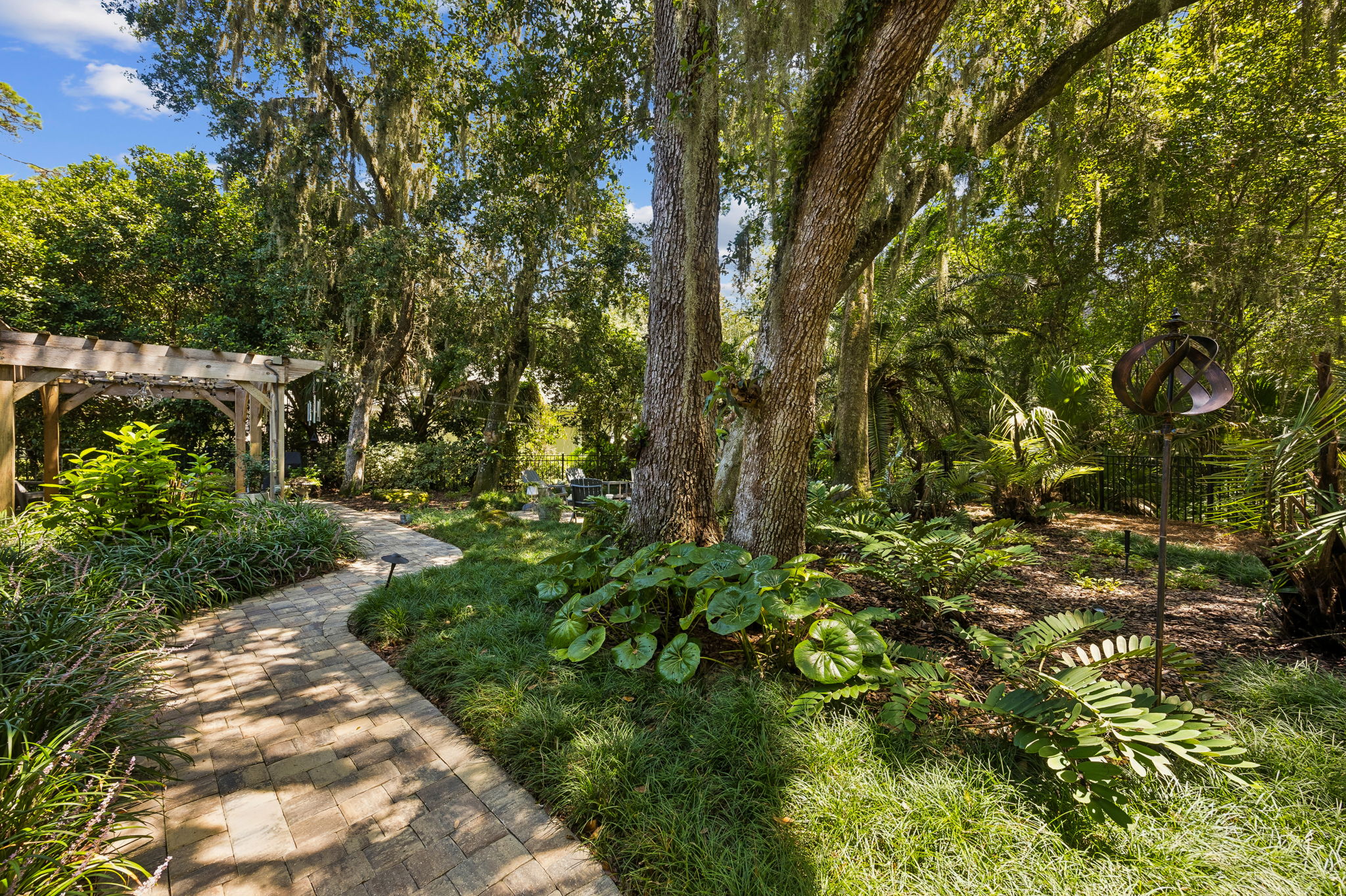 Backyard