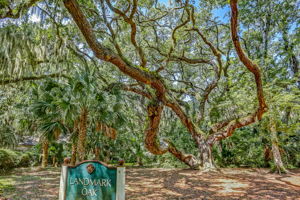 Omni Resort Amelia Island