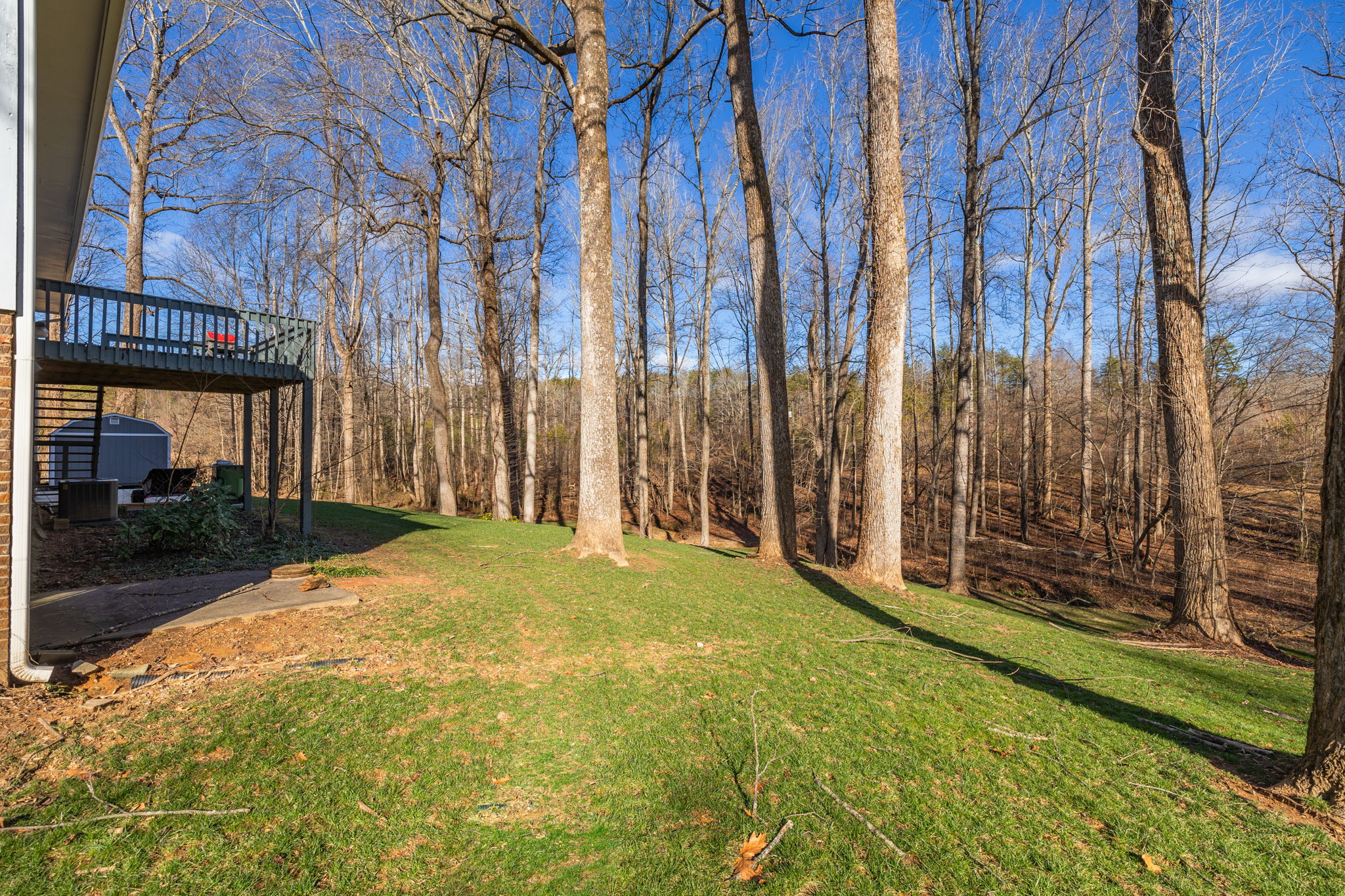 115 Wilchester Ln-30