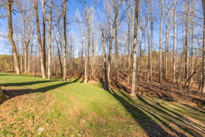 115 Wilchester Ln-32