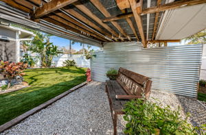 Backyard6
