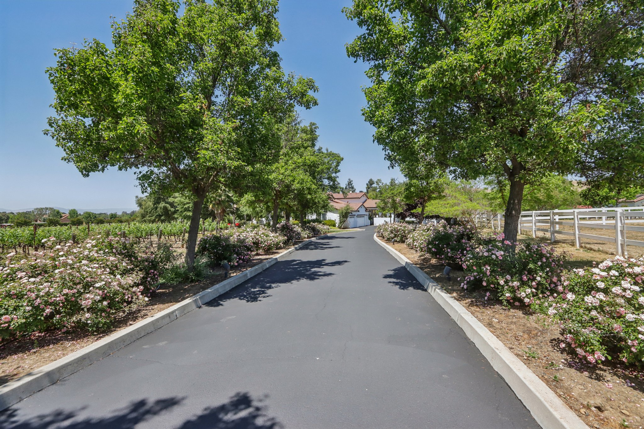 Stony Brook Dr-2205-009.jpg