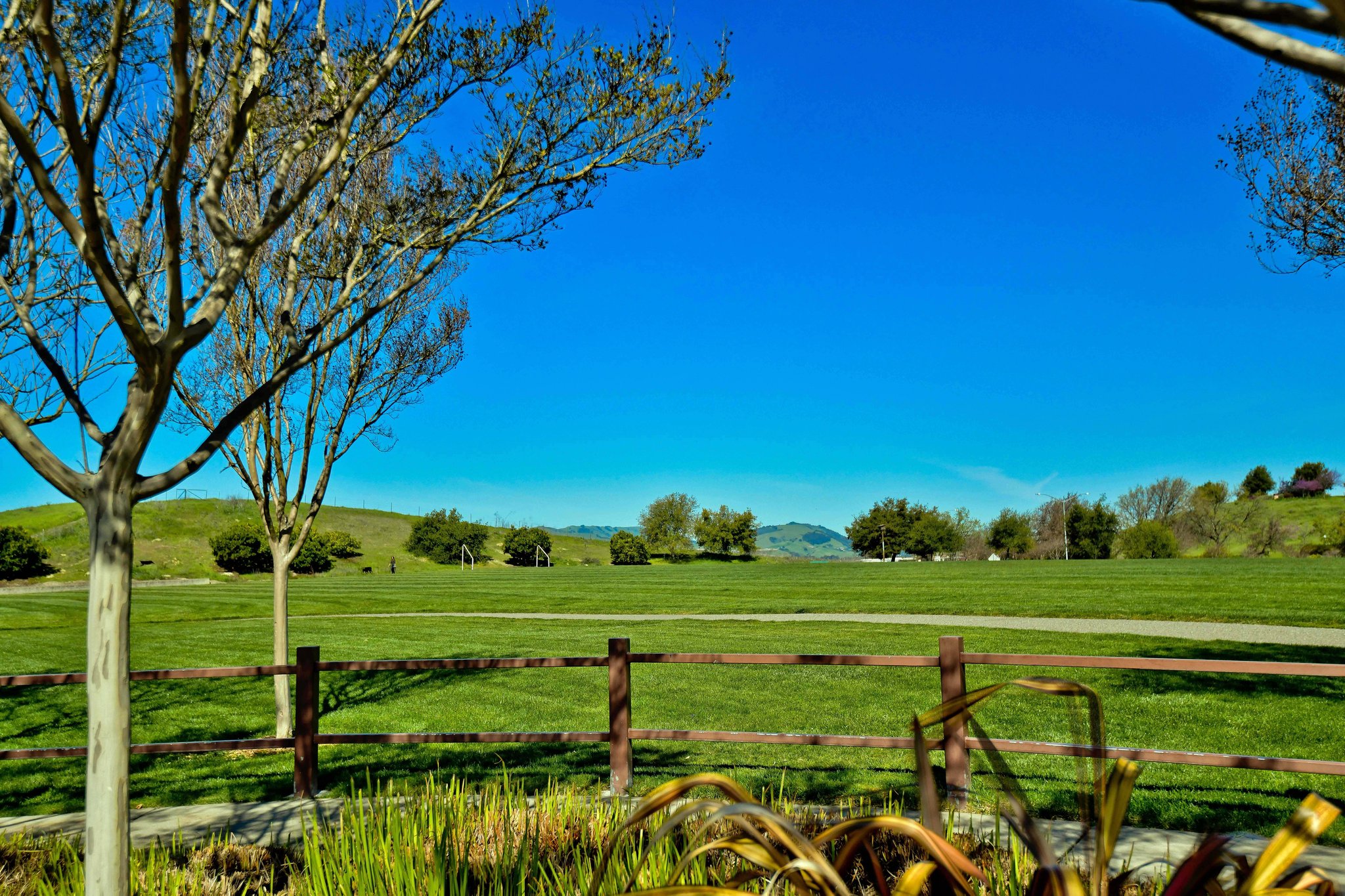 sports fields at park