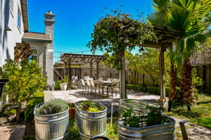 vegetable garden