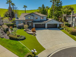 privacy with fully mature trees