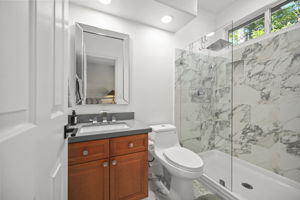 fully remodeled level in shower for downstairs bath