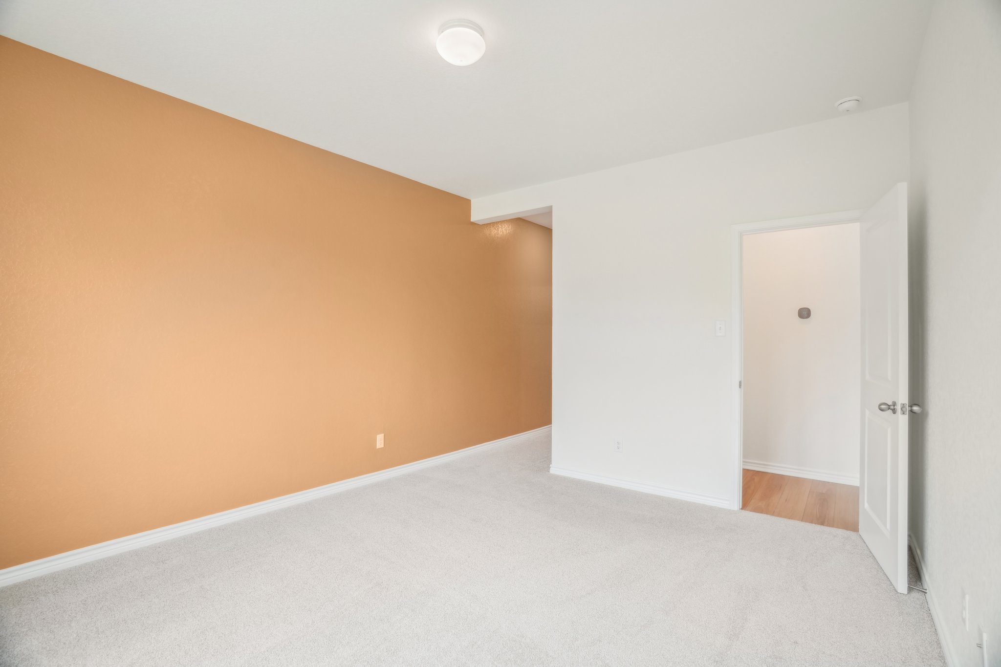 Lemonmint Pkwy-2504-022.jpg