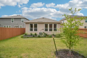 Lemonmint Pkwy-2504-030.jpg
