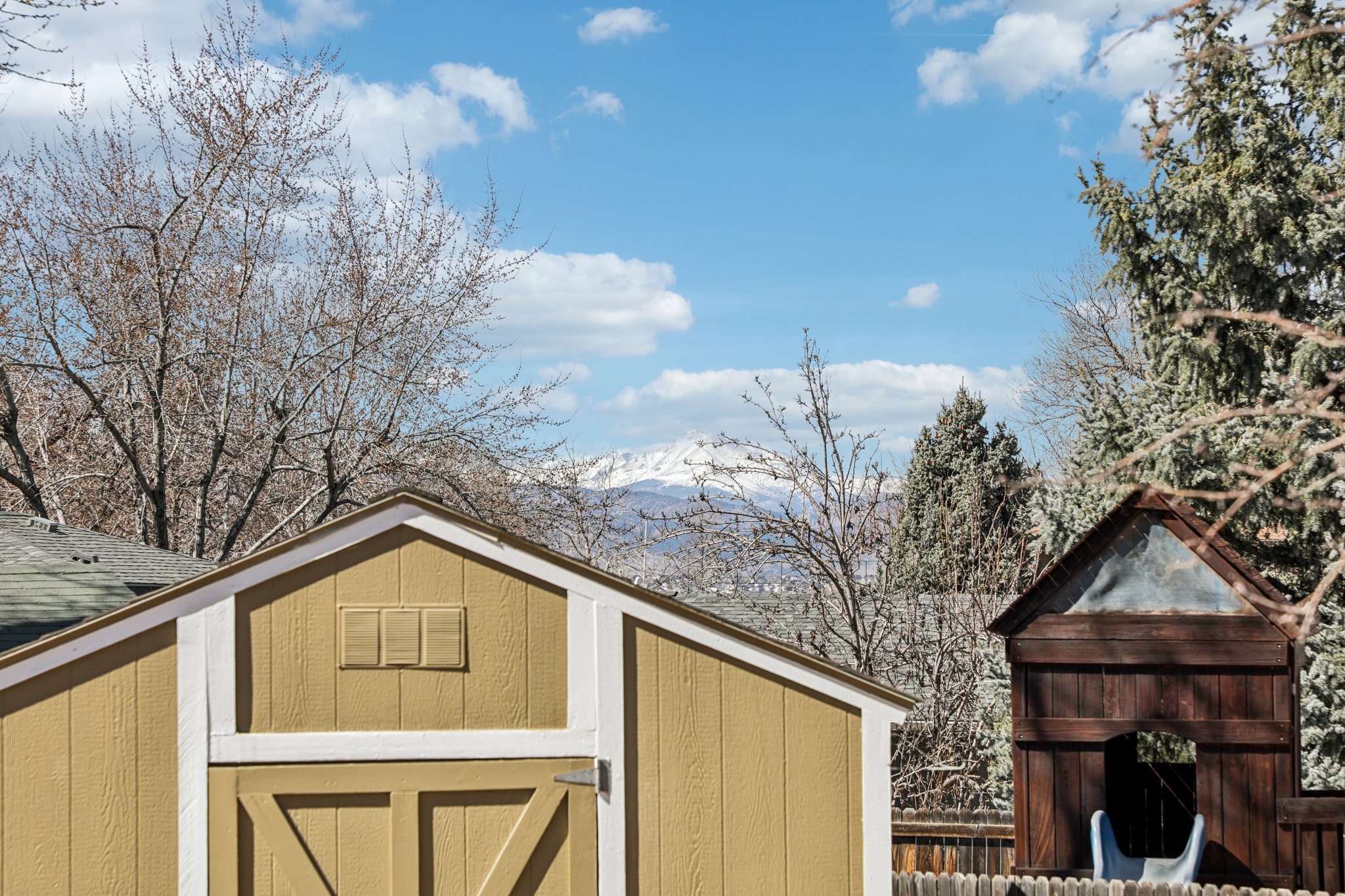 Goldenrod Cir-S1003-004.jpg