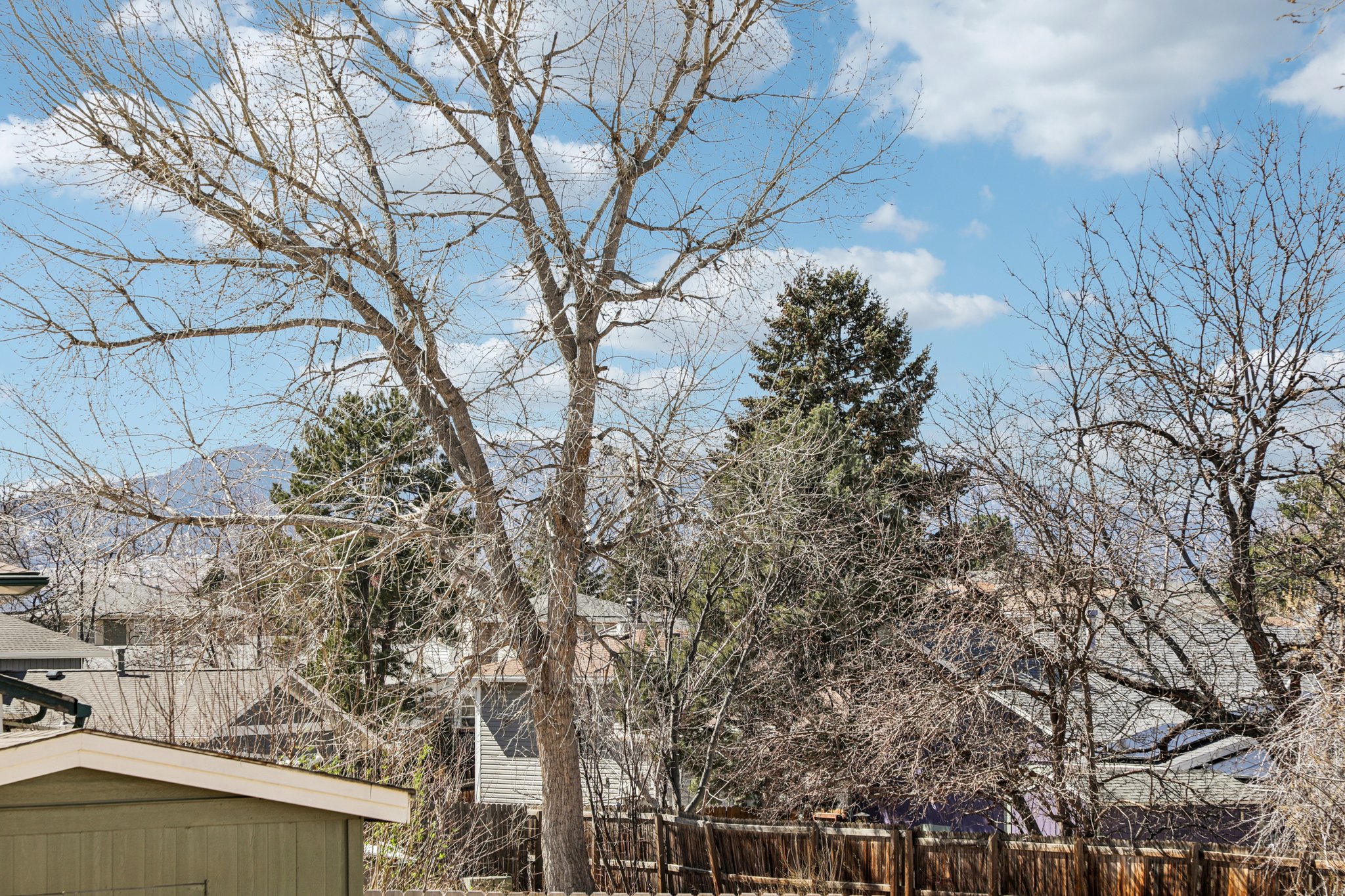 Goldenrod Cir-S1003-005.jpg