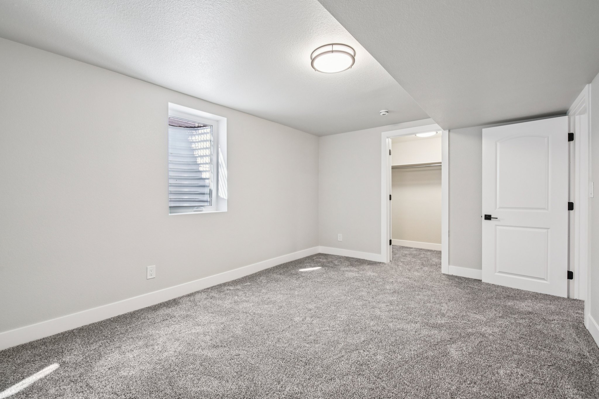 Goldenrod Cir-S1003-041.jpg