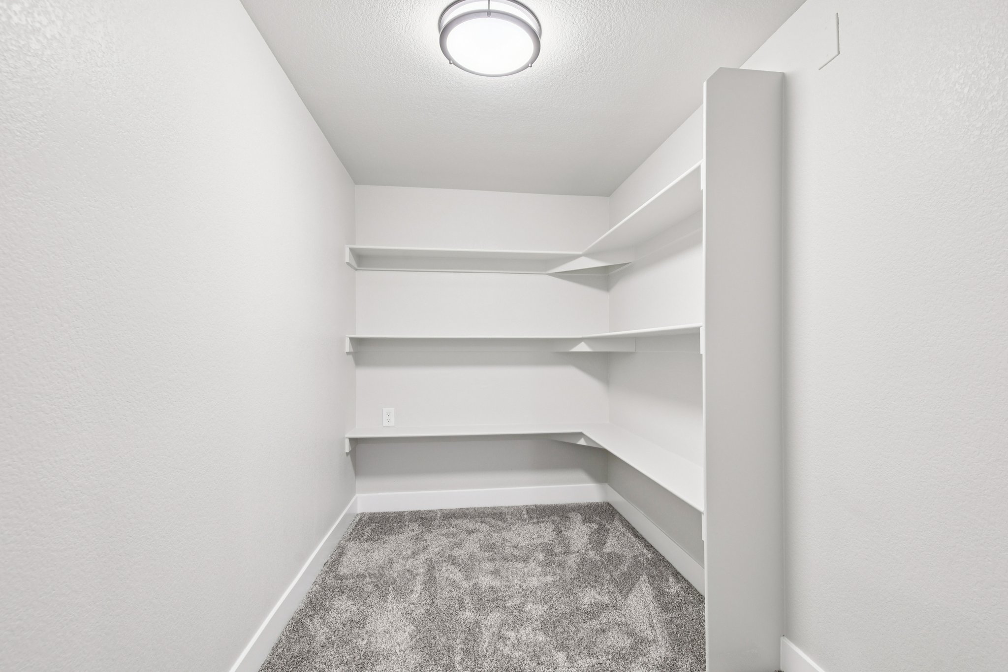 Goldenrod Cir-S1003-046.jpg