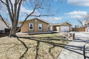 Goldenrod Cir-S1003-002.jpg