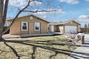 Goldenrod Cir-S1003-003.jpg