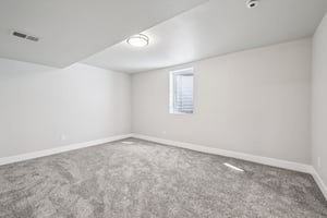 Goldenrod Cir-S1003-040.jpg