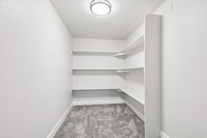 Goldenrod Cir-S1003-046.jpg