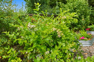  Photo 48