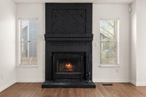 Living Room Detail 1
