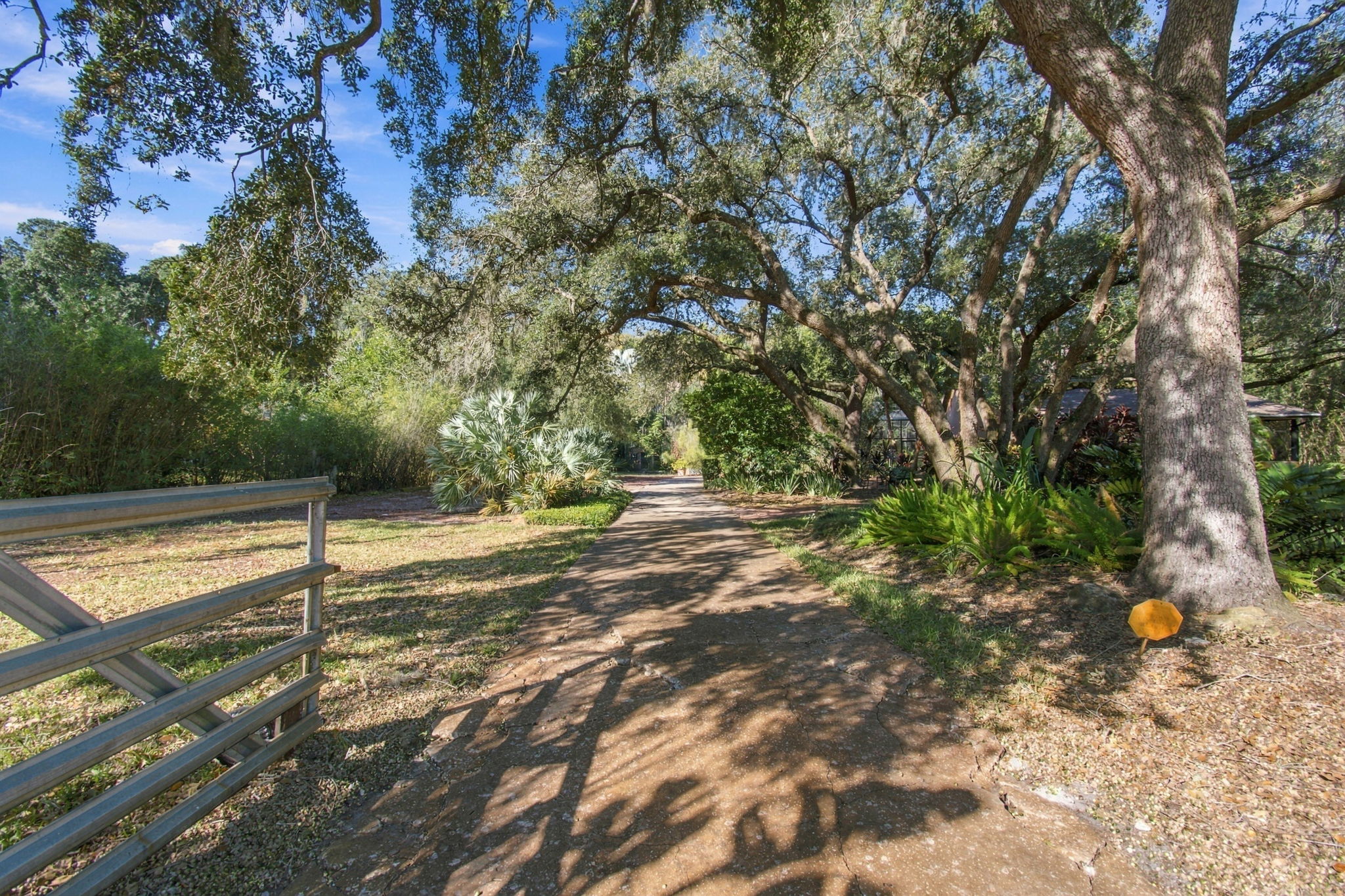 DSC_8546