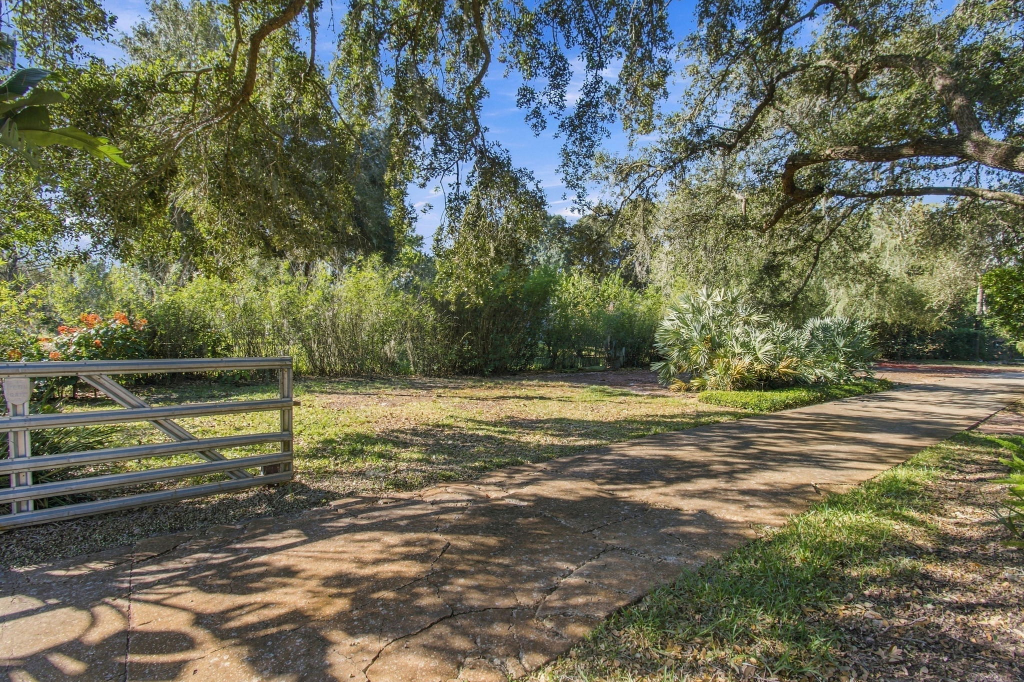 DSC_8561
