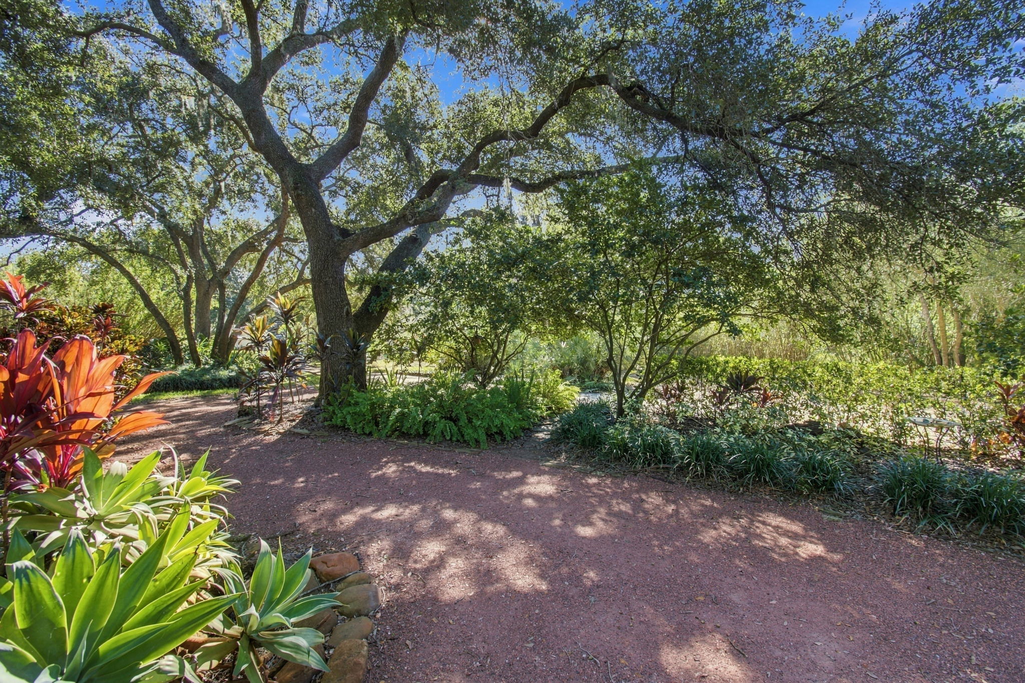 DSC_8636