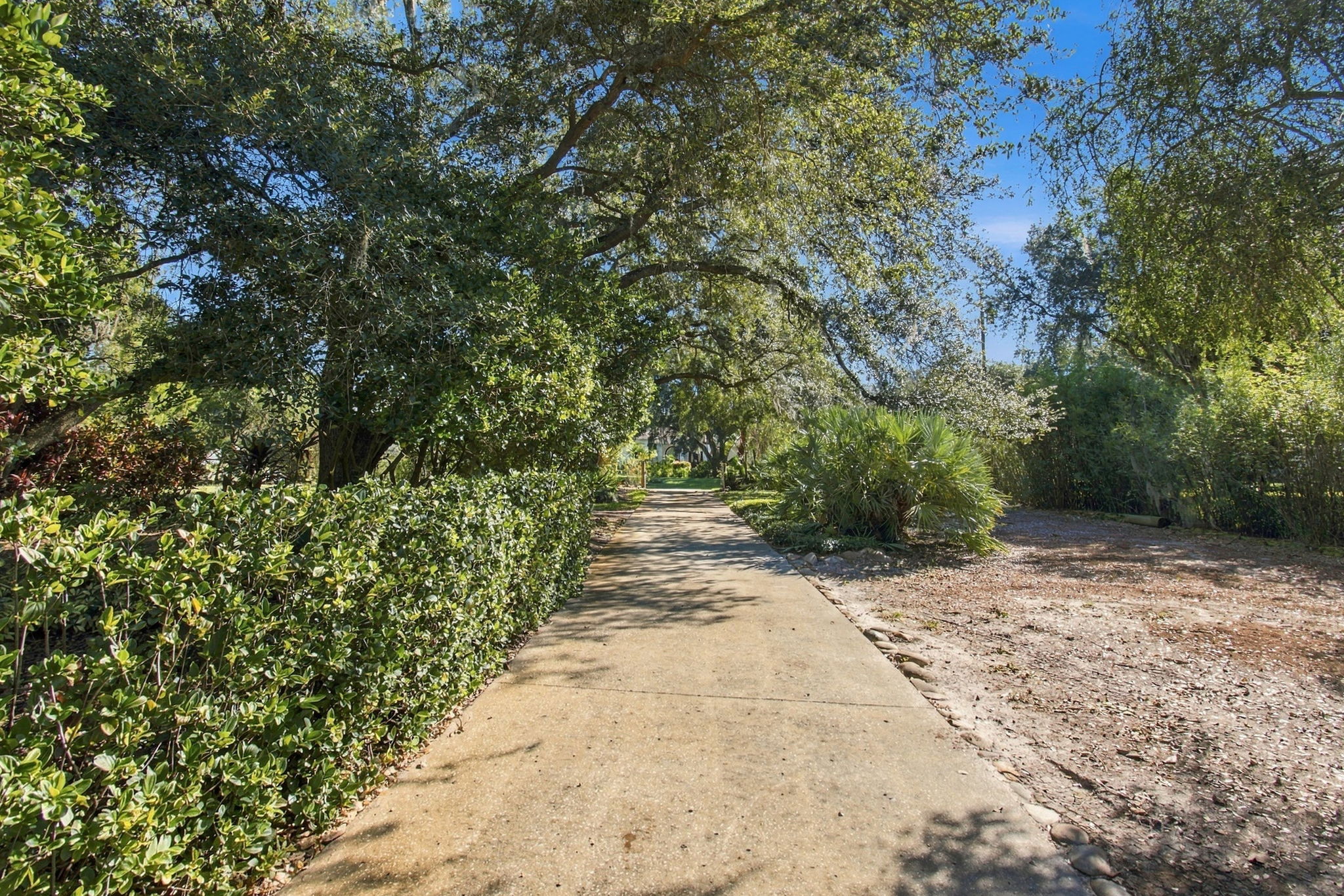 DSC_8656