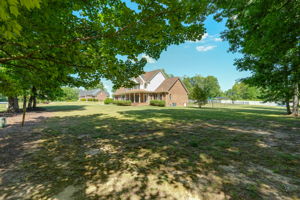 Front Yard