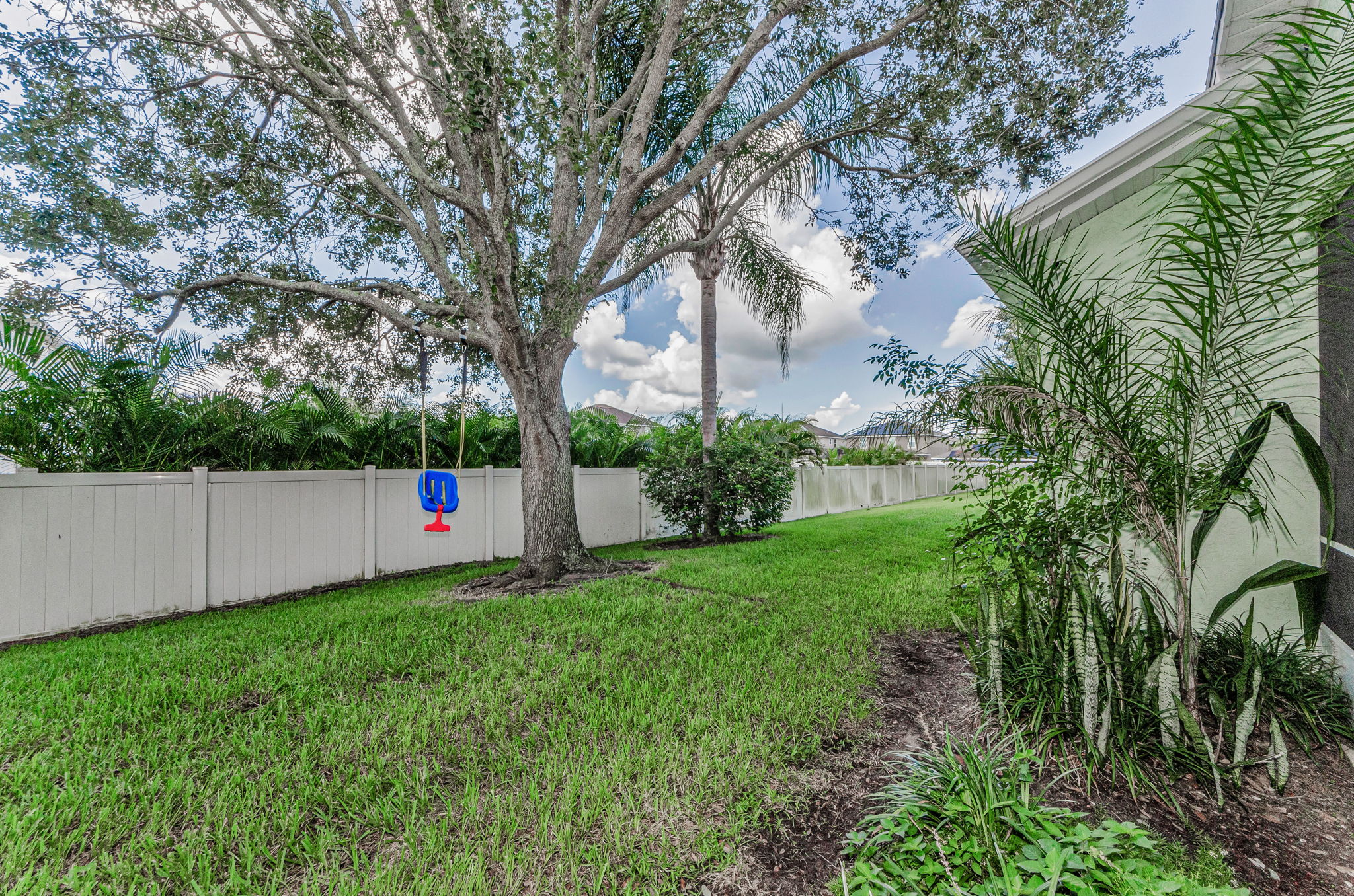 Backyard 3