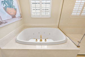 Primary Bathroom 4