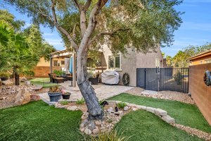 Lush Landscaping for tranquil desert breezes