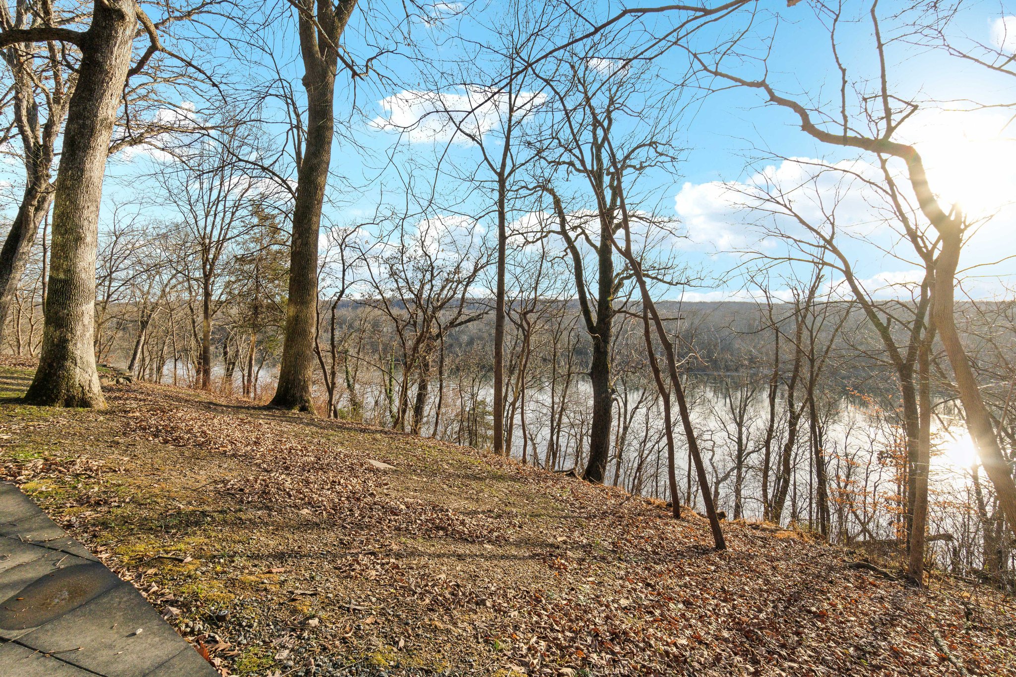 Wooded  River Views