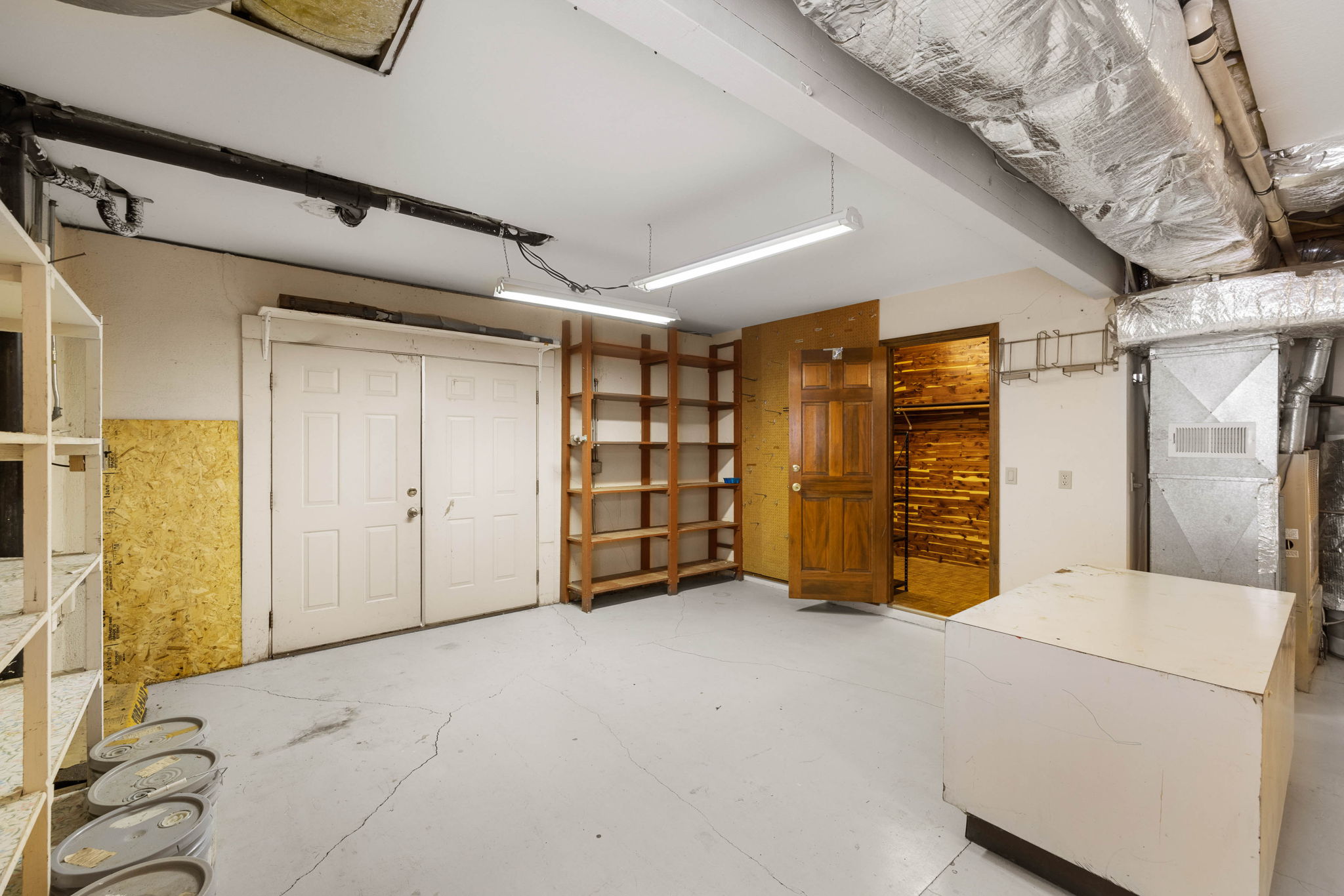 Unfinished Basement (1)