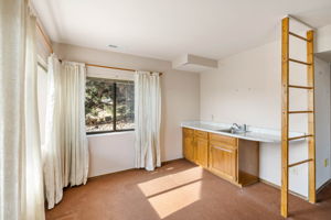 Finished Basement (2)