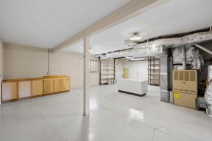 Unfinished Basement (2)