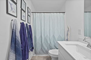  Photo 49