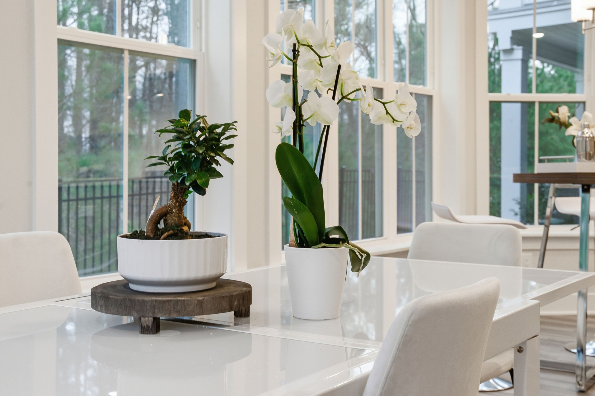 11548 Helmond Way 104-23