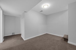 Basement Bedroom