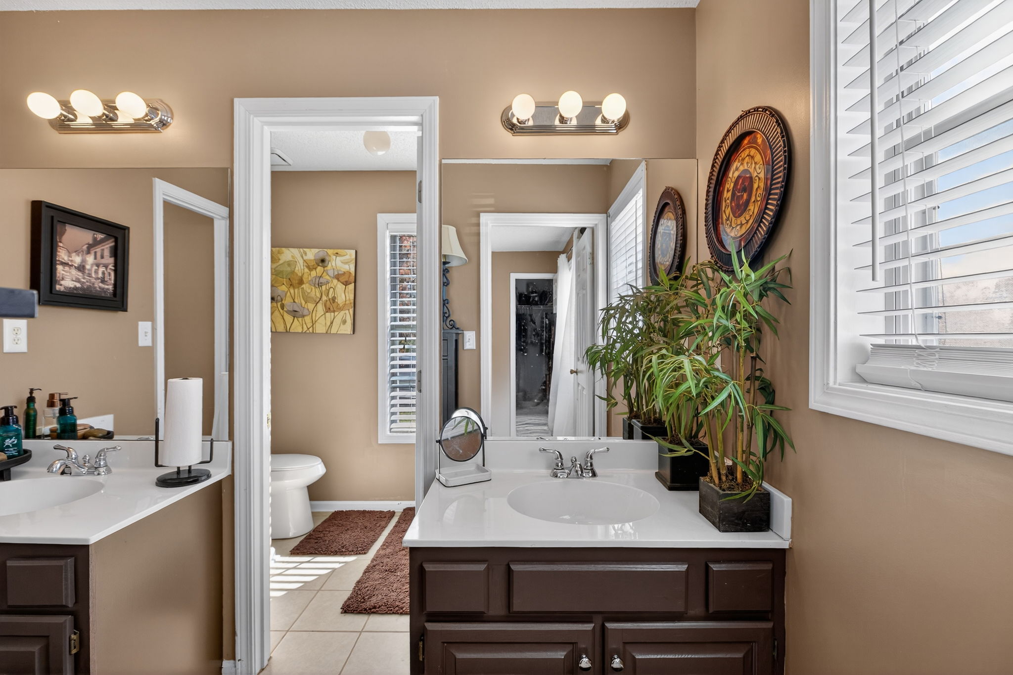 mppmedia1155jonquilway18