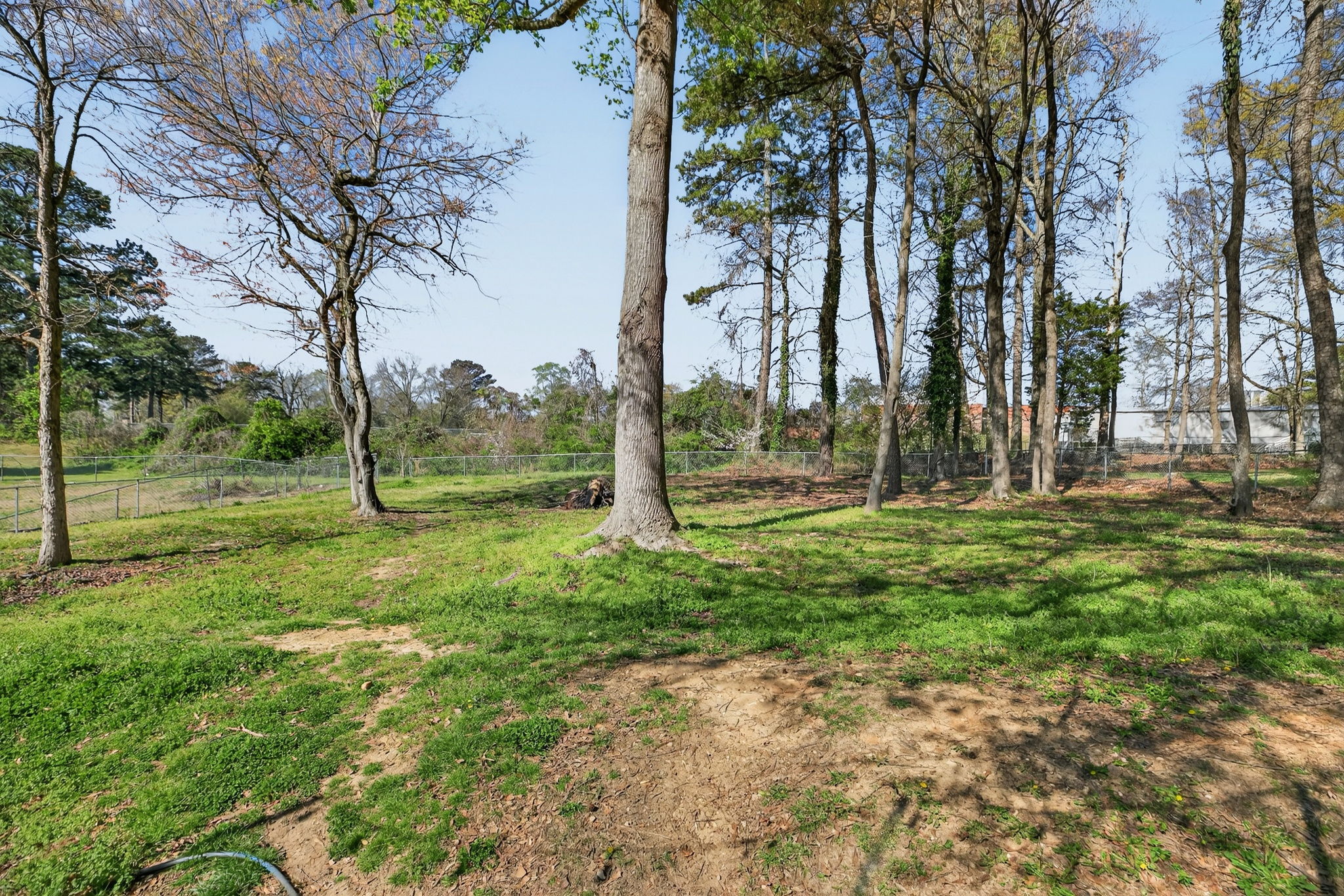 mppmedia1155jonquilway31