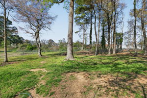 mppmedia1155jonquilway31