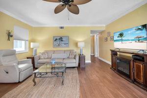 Living View 4