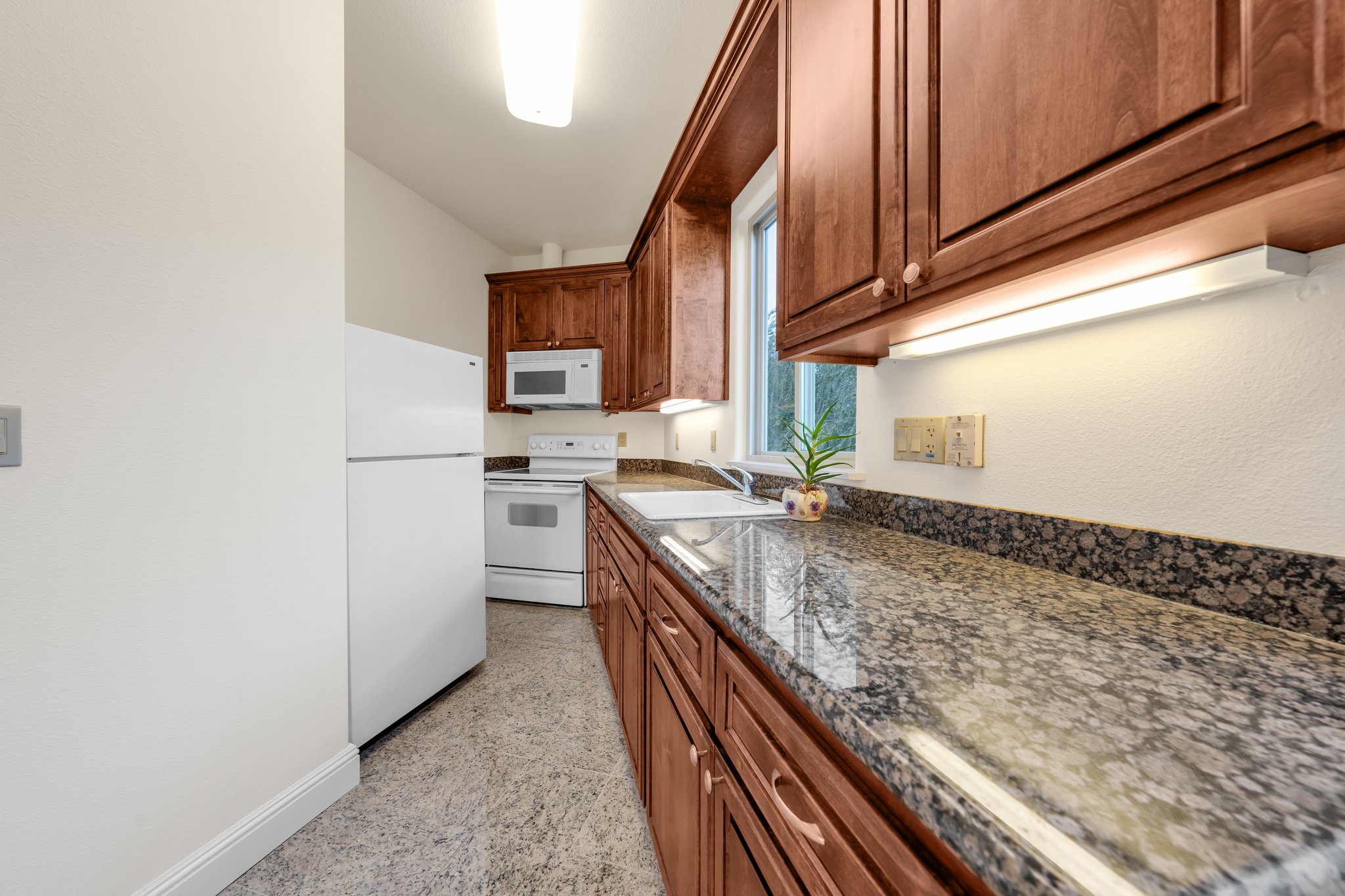 1155 Snyder Ln, Walnut Creek, CA 94598, USA Photo 85