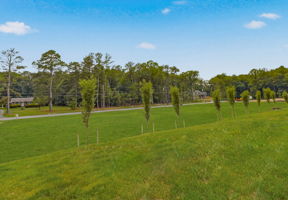 40-Backyard