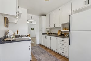Francine Ct-S1808-017.jpg