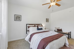 Francine Ct-S1808-021.jpg